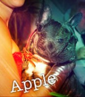 /album/galerie-photos/a106-jpg/