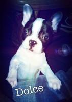 /album/galerie-photos/a111-jpg/