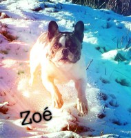 /album/galerie-photos/a112-jpg/