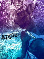 /album/galerie-photos/a113-jpg/