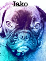 /album/galerie-photos/a114-jpg/