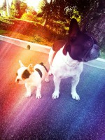 /album/galerie-photos/a115-jpg/