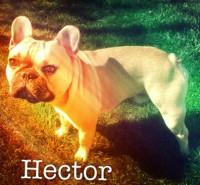 /album/galerie-photos/a116-jpg/