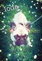 /album/galerie-photos/a117-jpg/