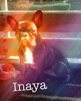 /album/galerie-photos/a118-jpg/