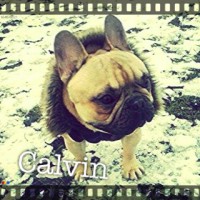 /album/galerie-photos/a119-jpg/