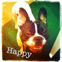 /album/galerie-photos/a120-jpg/