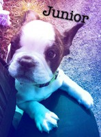 /album/galerie-photos/a121-jpg/