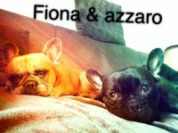 /album/galerie-photos/a123-jpg/