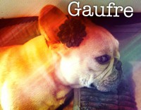 /album/galerie-photos/a125-jpg/