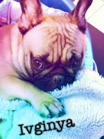 /album/galerie-photos/a126-jpg/