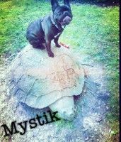 /album/galerie-photos/a127-jpg/