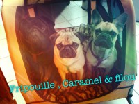 /album/galerie-photos/a128-jpg/