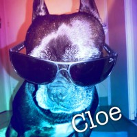 /album/galerie-photos/a129-jpg/