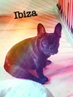 /album/galerie-photos/a131-jpg/