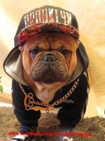 /album/passionboubou/img-1650-jpg/