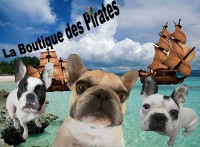 En partenariat avec La boutique des pirates